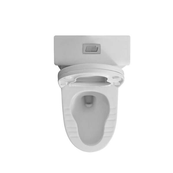 Cheap One Piece Toilet Sanitary Ware Smart Toilet