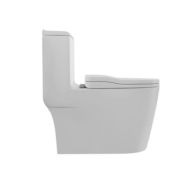 one piece siphonic dual flush toilets bathroom toilet bowl