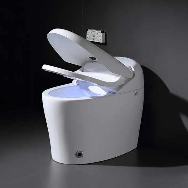 Toilettes intelligentes automatiques pour appareils sanitaires