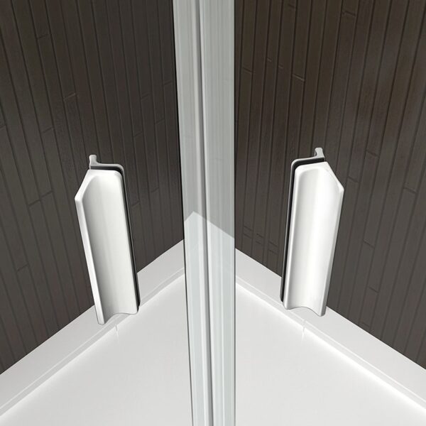 Custom Tempered Glass Shower Door