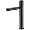 Black Tap Hot Cold Water Wash Tap