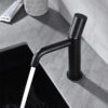 Classic Wash Basin Faucet Matte Black Single