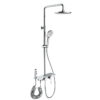 Contemporary Style Polished Brass Wall Mounted Shower