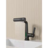 Functional Spout Deck Mounted Pull Out Basin
