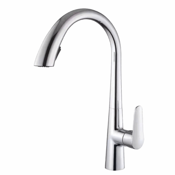 Single Handle 2-Function Chrome Kitchen Faucet