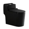 MP OP 1027 Bathroom Products Matte Black Toilet Ceramic One Piece Toilet