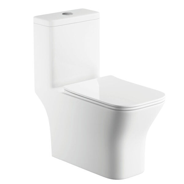 Ceramics White Wc One Piece Sanitary Ware Toilet