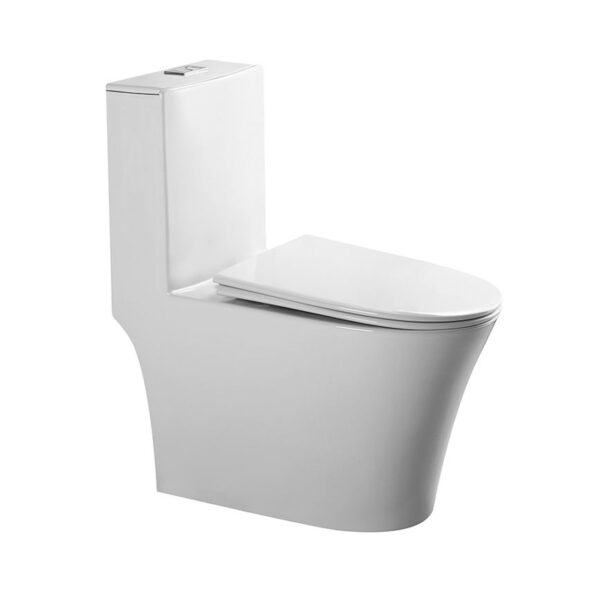 Dual Flush Floor Mounted Siphonic One Piece Toilet