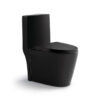 MP OP 1051 Medyag America One Piece Toilets Matte Black