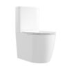 MP TP 1021 Factory Wholesale Price Ceramic Floor Mounted Two Piece Toilet