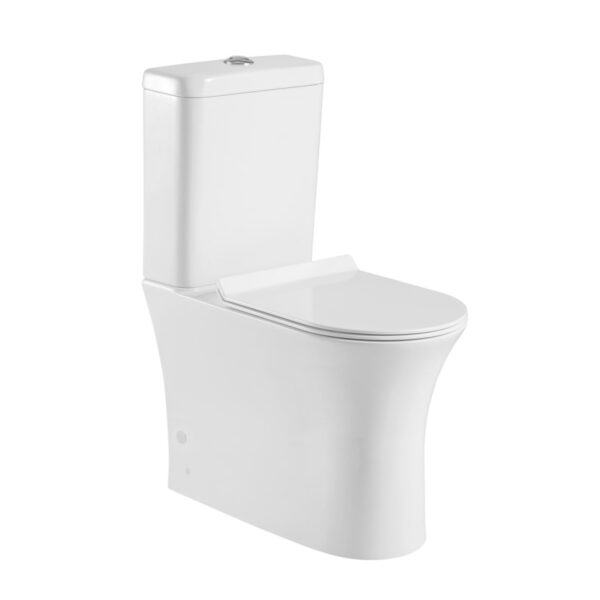 Sanitary Ware Toilet Ceramic Two Piece Toilet