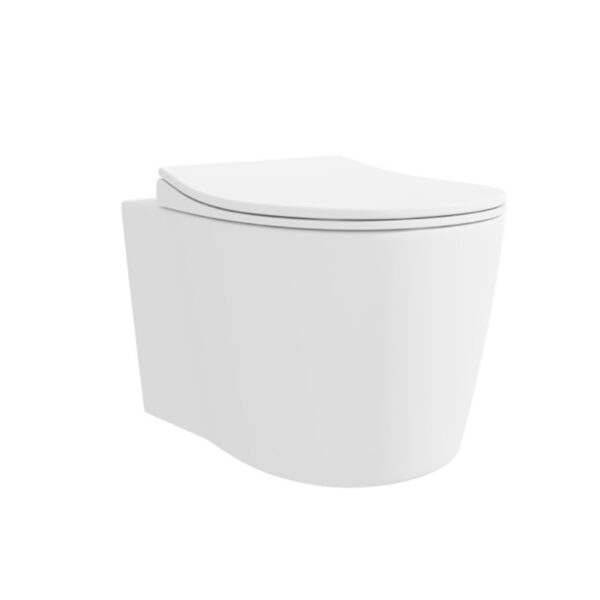 Ceramic Rimless Bathroom Wc Wall Hung Toilet