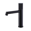 Modern Black Faucet Hot Cold Water Supply