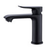 Modern Hotel Toilet Bathroom Single Handle Matte